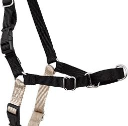 Best Adjustable Two-Shoulder Harnesses for Petite Caregivers