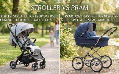 Stroller Vs Pram: Full Comparison & 5 Best Models to Buy